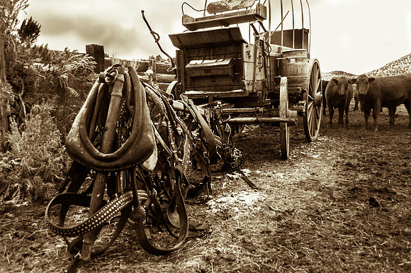 Ranch Memories Photography