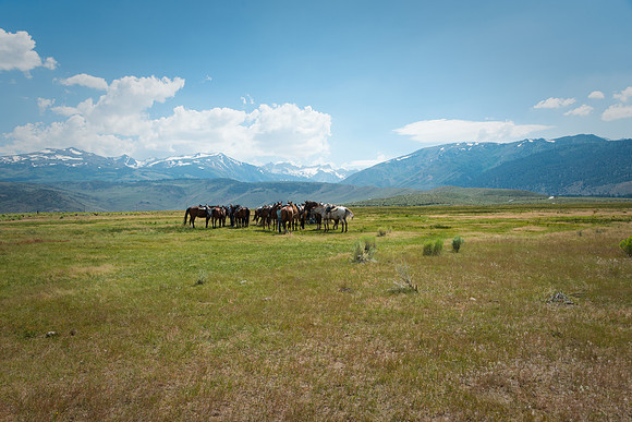 Ranch Memories Photography