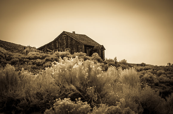 Ranch Memories Photography