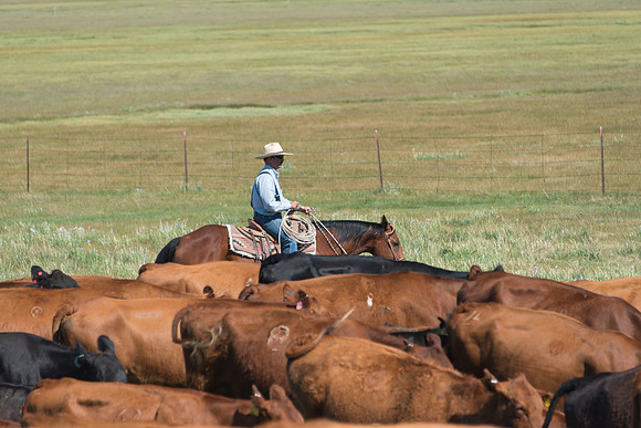 Ranch Memories Photography