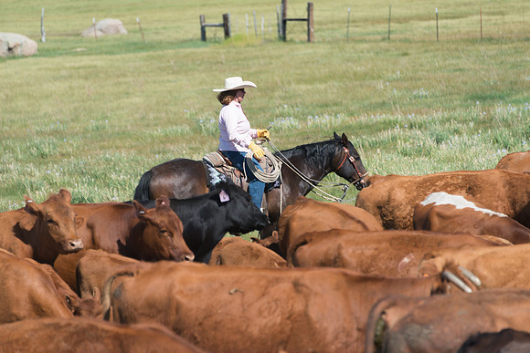 Ranch Memories Photography