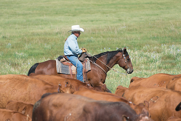 Ranch Memories Photography