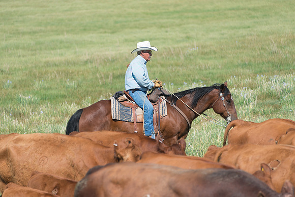 Ranch Memories Photography