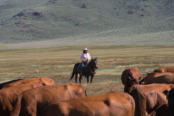 Ranch Memories Photography