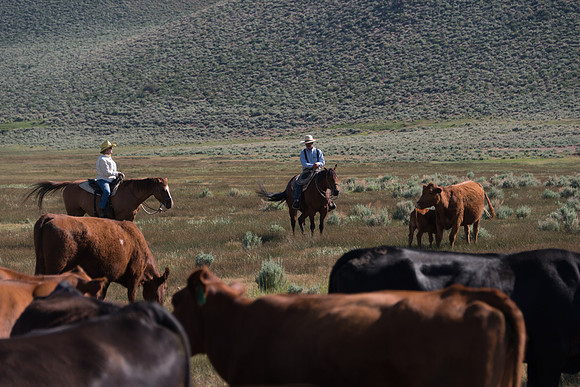 Ranch Memories Photography