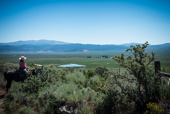 Ranch Memories Photography