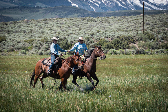 Ranch Memories Photography