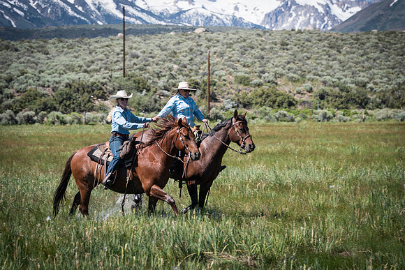 Ranch Memories Photography