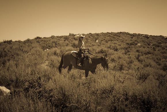 Ranch Memories Photography