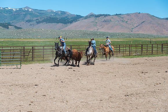 Ranch Memories Photography