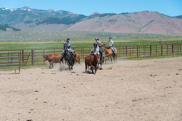 Ranch Memories Photography