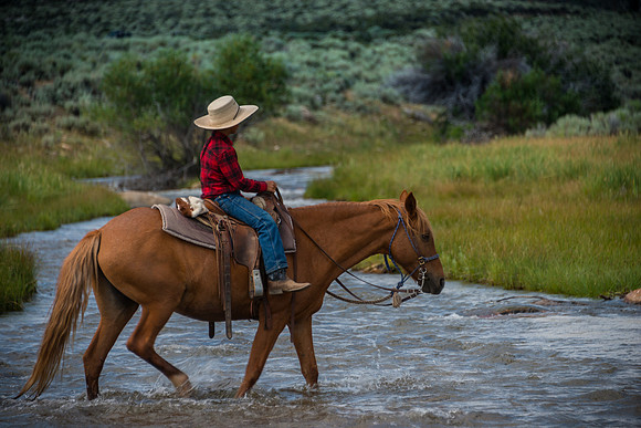 Ranch Memories Photography