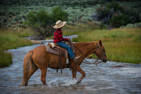 Ranch Memories Photography