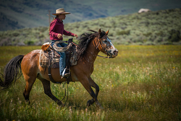 Ranch Memories Photography