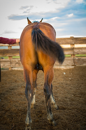 Ranch Memories Photography
