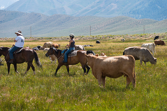 Ranch Memories Photography