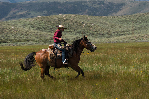 Ranch Memories Photography