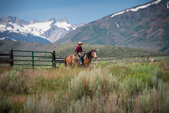 Ranch Memories Photography