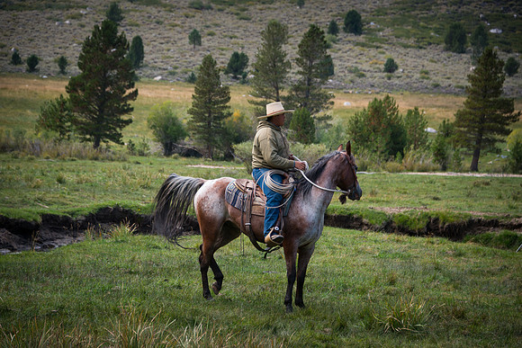Ranch Memories Photography