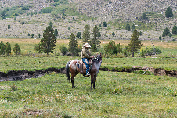 Ranch Memories Photography