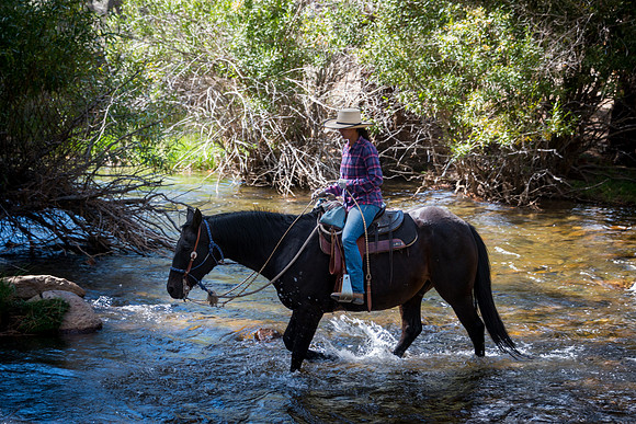 Ranch Memories Photography