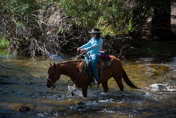Ranch Memories Photography