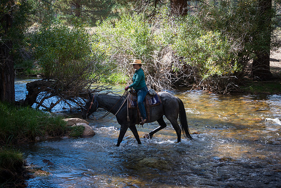 Ranch Memories Photography