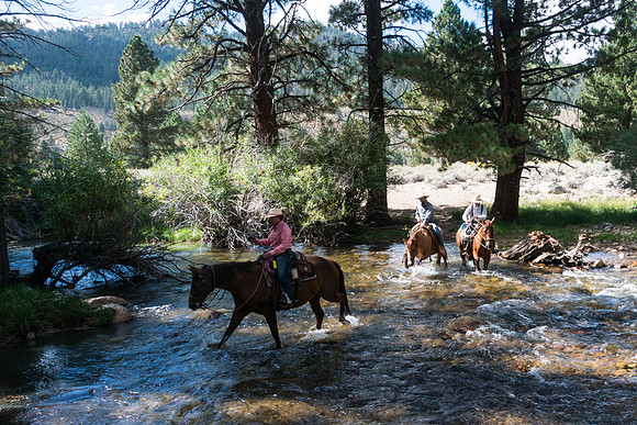 Ranch Memories Photography