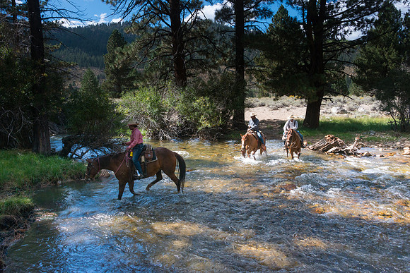 Ranch Memories Photography