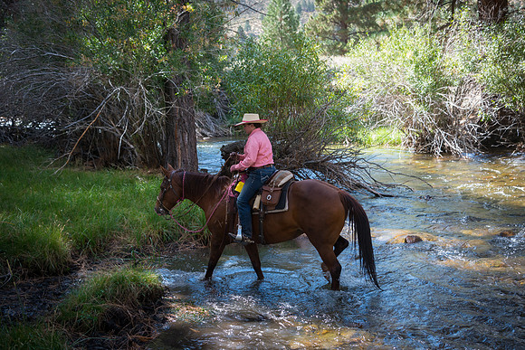 Ranch Memories Photography