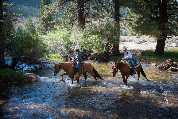 Ranch Memories Photography