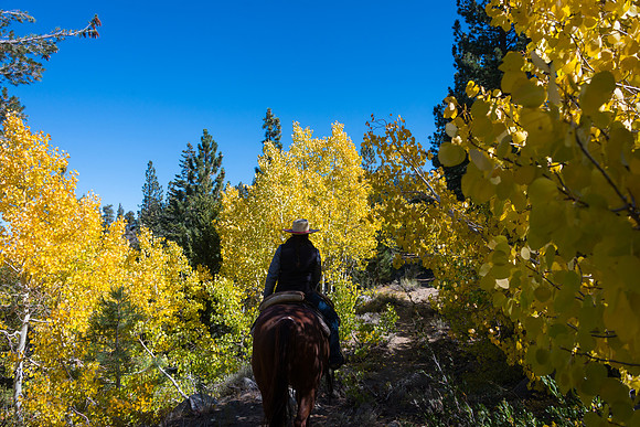 Ranch Memories Photography