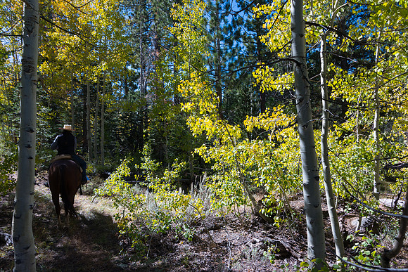 Ranch Memories Photography