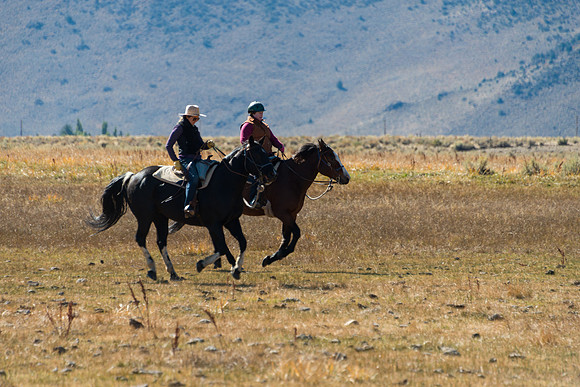 Ranch Memories Photography
