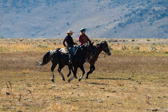 Ranch Memories Photography