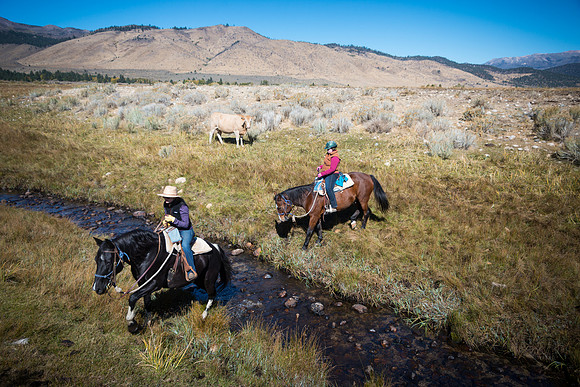 Ranch Memories Photography