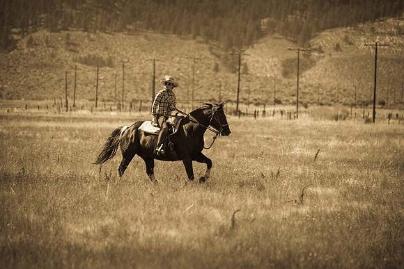 Ranch Memories Photography