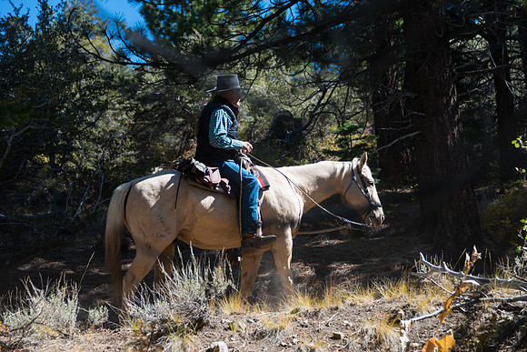 Ranch Memories Photography
