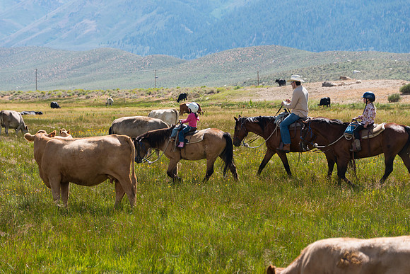 Ranch Memories Photography