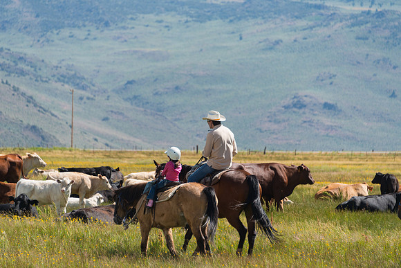 Ranch Memories Photography