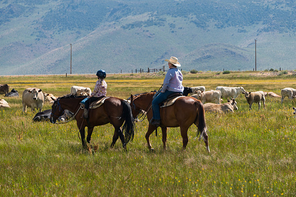 Ranch Memories Photography